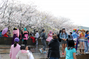 San Francisco Cherry Blossom Festival. Source: Michael Ocampo, Flickr.