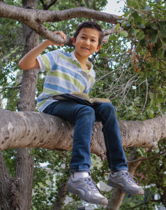Boy in tree enjoying a library book.